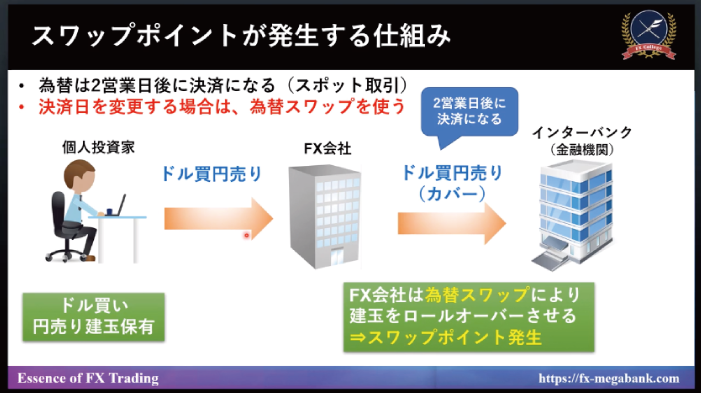 ピックアップ画像