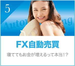 FX自動売買